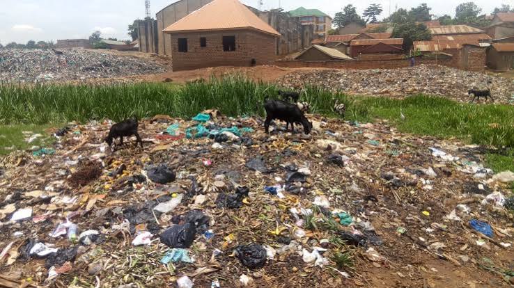 Uncollected waste point flagged for pickup.
